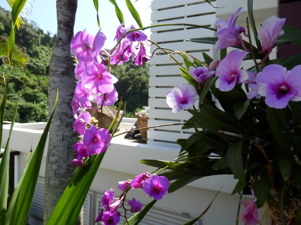 Kata Beach Studio Phuket Exterior foto